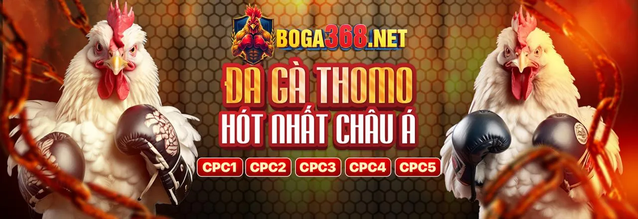 Sân đá gà sôi động tại Caxeng Nổ Hũ